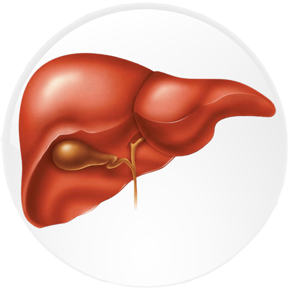 ღვიძლის გამწმენდი